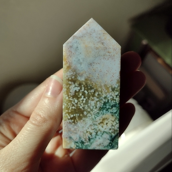 Ocean Jasper Tower 10 - Picture 4 of 14